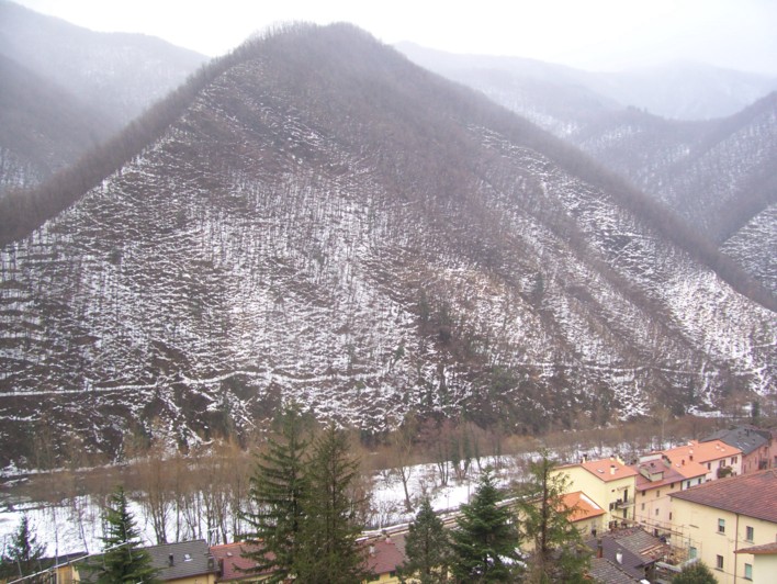  Image name: 100_2489.jpg 
 width: 708 pixel 
 height: 532 pixel 
 Size: 133802 bytes 
 Click to enlarge 